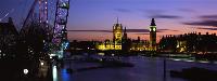 Learn English with a native speaker 