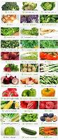 Наша компания предлагает широкий ассортимент овощей и фруктов по оптовым ценам Всегда в продаже имее