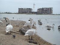 Комплекс апартаменнтов на песчаном побережье Крымского полуострова
