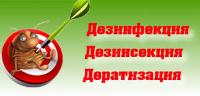 Дезинсекция, дератизация  в Севастополе (уничтожение насекомых-вредителей и грызунов.