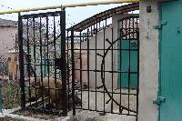 Металлические ограждения Севастополь и Ялта