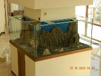 Изготовление аквариумов,продажа аквариумного оборудования http://aqva-toriya.ru/