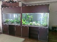 Изготовление аквариумов,продажа аквариумного оборудования http://aqva-toriya.ru/