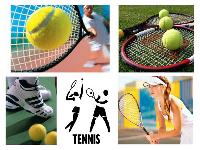 Теннис, подготовка и турниры