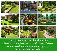 Ландшафтный дизайн, озеленение Севастополь. Садовый центр "Сабаль"