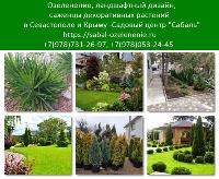 Озеленение участка Севастополь, Крым. Ландшафтный дизайн