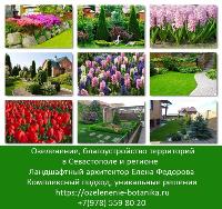 Озеленение в Севастополе. Ландшафтный дизайн
