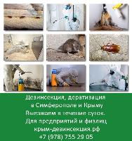 Дезинсекция Симферополь, Крым. Дератизация Симферополь, Крым