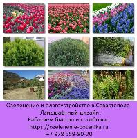 Озеленение Севастополь. Ландшафтный дизайн. Благоустройство территории