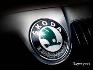 Продам запчасти на Skoda Oktavia !