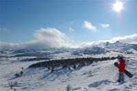 Поездки на Ай-Петри, зимний отдых, прокат лыж, сноубордов