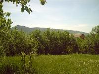 Продается дом в с. Россошанка на уч. 15 соток, Байдарская долина, у подножия горы