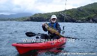 Предлагаем купить каяк для рыбалки FeelFree Kayak