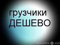 Предоставим грузчиков, разнорабочих. Поможем в выборе автотранспорта. Возможен безналичный расчет