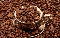 Оптом и в розницу кофе натуральный зерновой