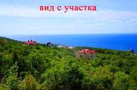 Живописный участок природы на ЮБК/ Ласпи бухта мечты !