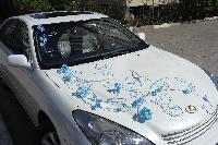 Украшения для свадебных автомобилей