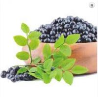 Aronia berry extract