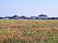 Продам отличный участок 10 соток у самого моря на мысе Лукулл, ул. Тюбекская. 1200000 рублей