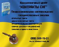 ПРОФЕССИОНАЛЬНОЕ  СОПРОВОЖДЕНИЕ ГОСУДАРСТВЕННЫХ ЗАКУПОК