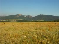 Продается участок в Тыловом, Байдарская долина, в 7 км от моря (Ласпи)