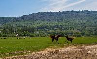 Продается участок в с. Кизиловое, Байдарская долина